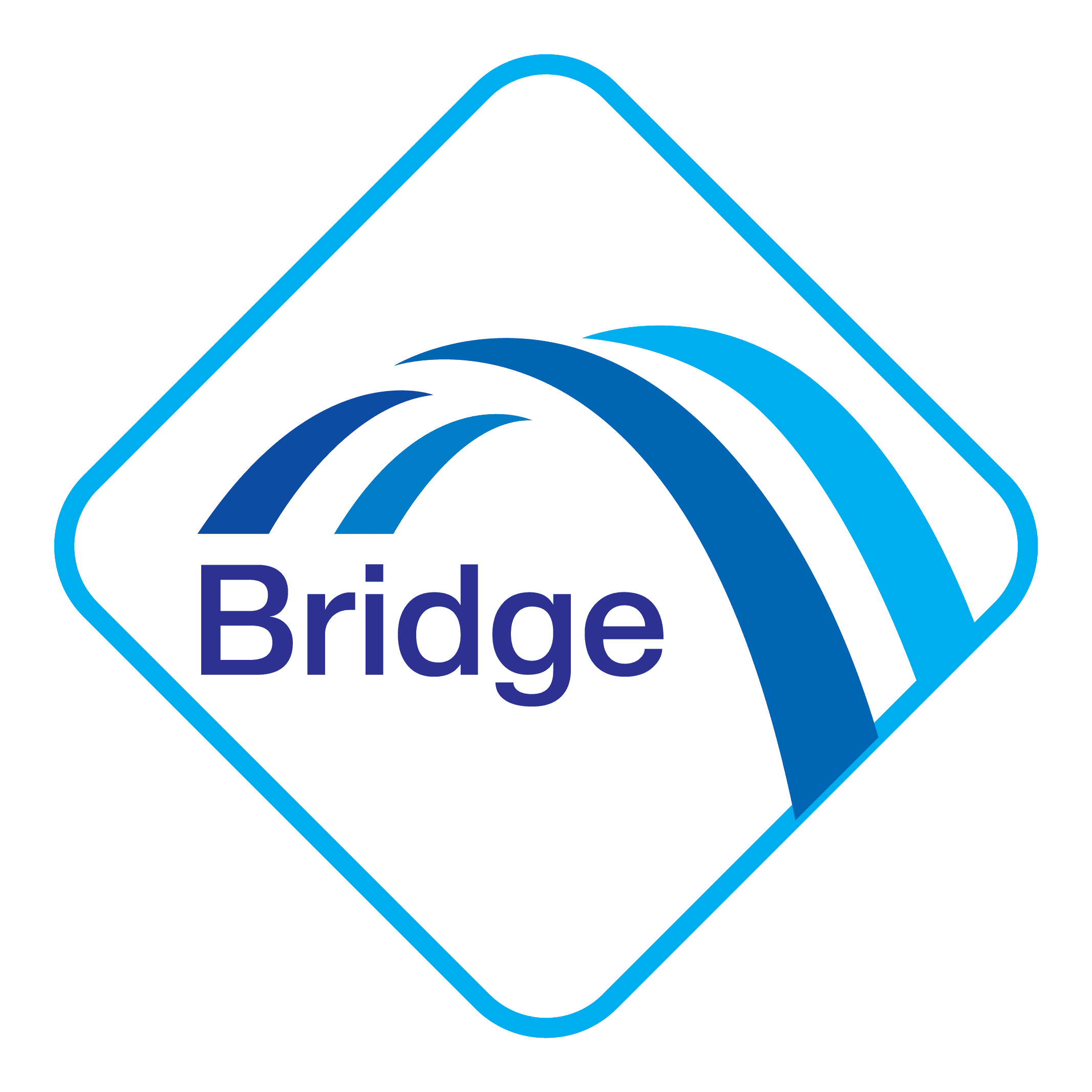 Bridge Pharmaceuticals Logo